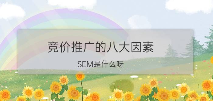 竞价推广的八大因素 SEM是什么呀，需要学习什么？